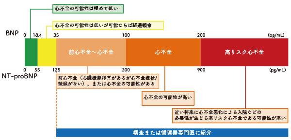 図2 心不全診断におけるBNP・NT-Pro BNPの基準値